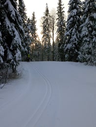drayton_trails